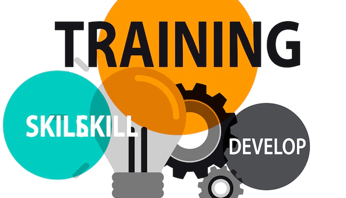Skills Service Organisation and Training Package Updates image