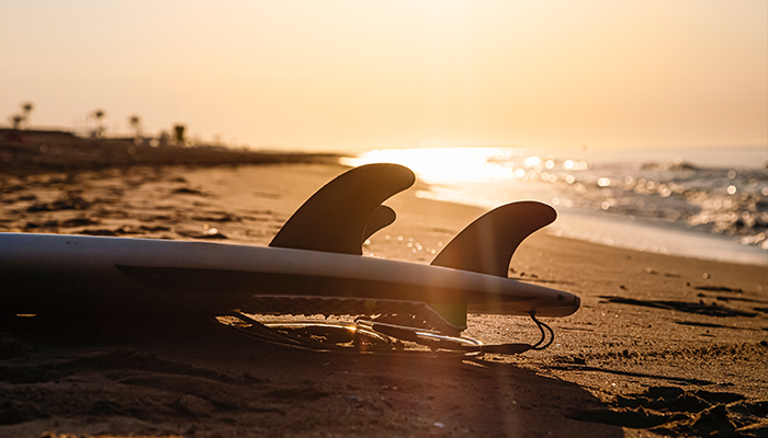 Making Excellent Waves on the Gold Coast image