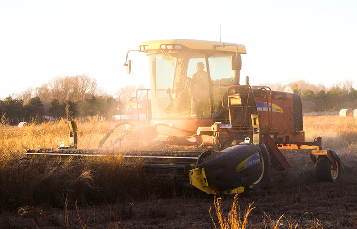 New Projects in Agriculture and Horticulture image